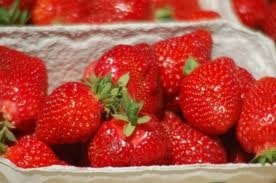 Jordbæreventyret 4 juli 2015